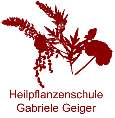 22 logo geiger